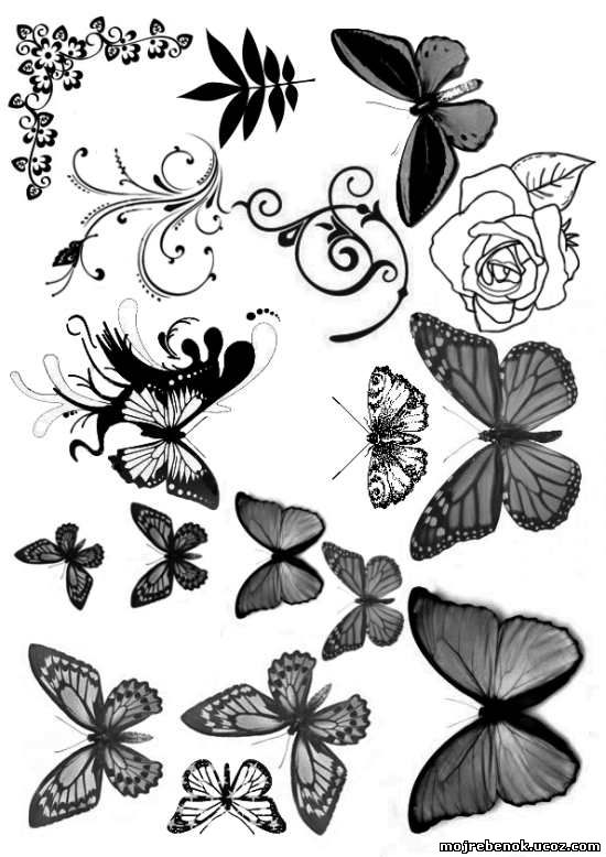 Эскизы бабочек